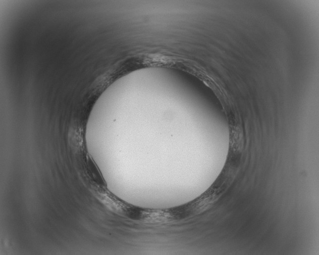 X0000082150621200702162210