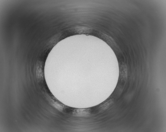 X0000082150622200702162210