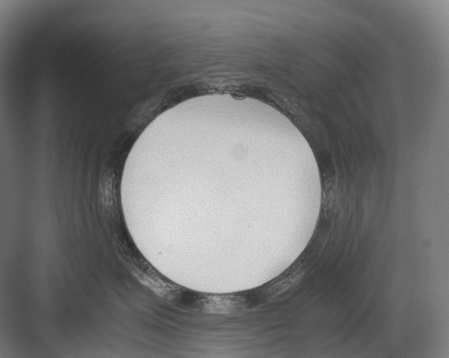 X0000082150623200702162210