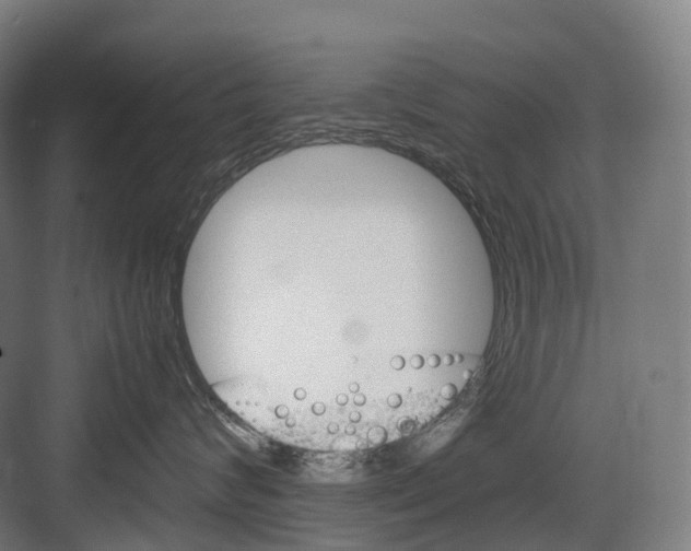 X0000082150624200702162210