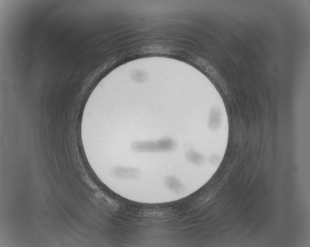 X0000082150625200702162209