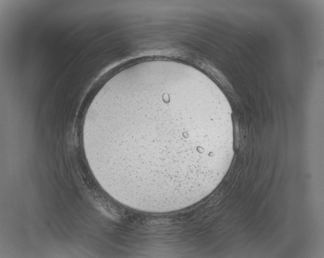 X0000082150628200702162209