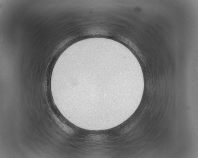 X0000082150629200702162209