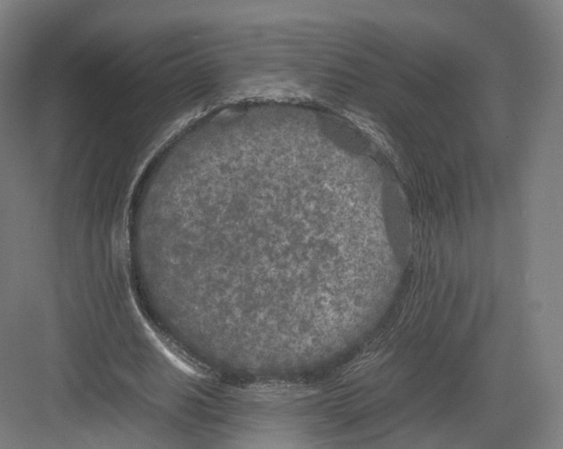 X0000082150630200702162209