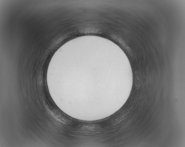 X0000082150631200702162209