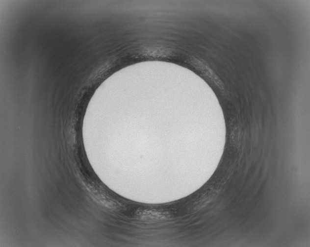 X0000082150635200702162209