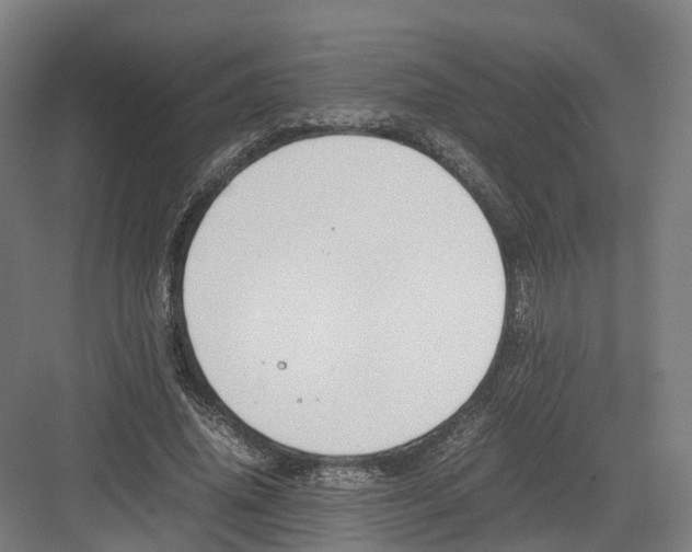 X0000082150636200702162209