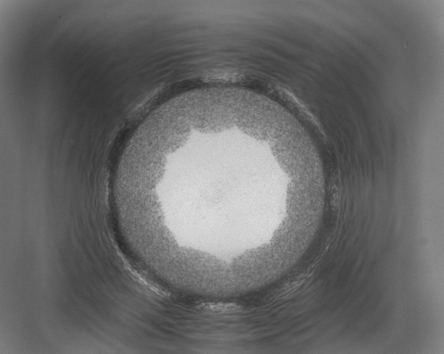 X0000082150637200702162209