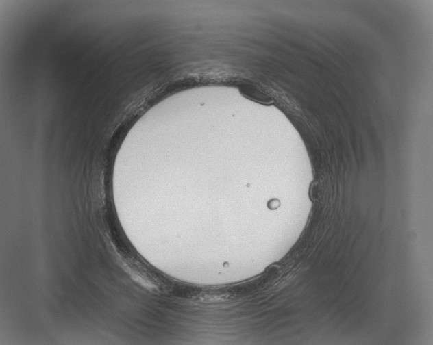 X0000082150638200702162209