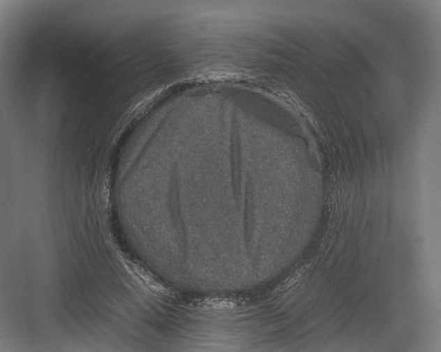 X0000082150640200702162209