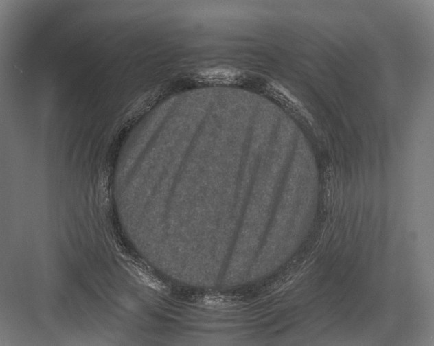 X0000082150641200702162209