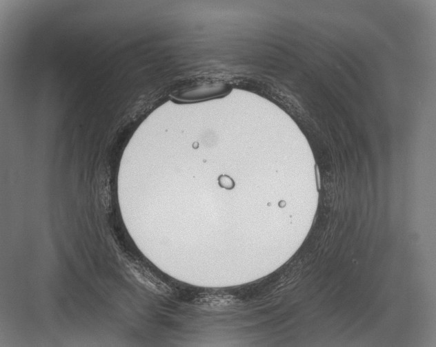 X0000082150642200702162209