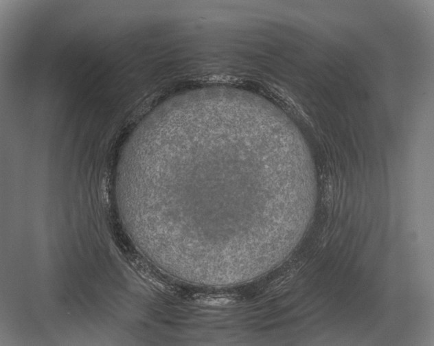 X0000082150643200702162210