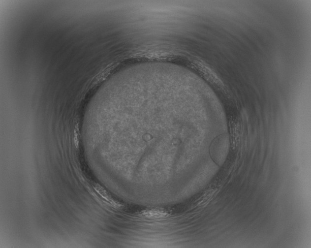 X0000082150644200702162210