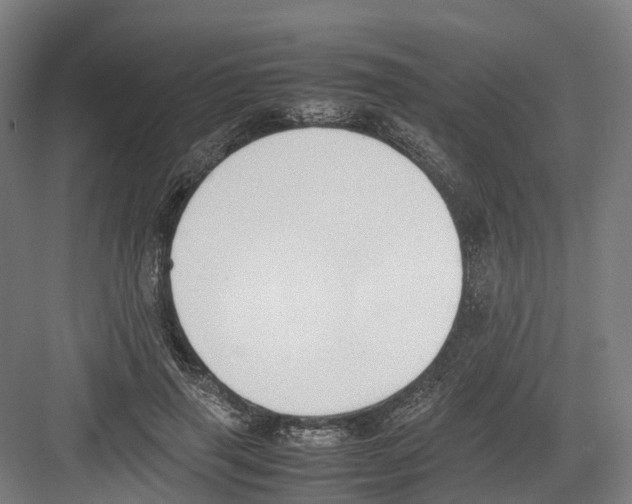 X0000082150645200702162210