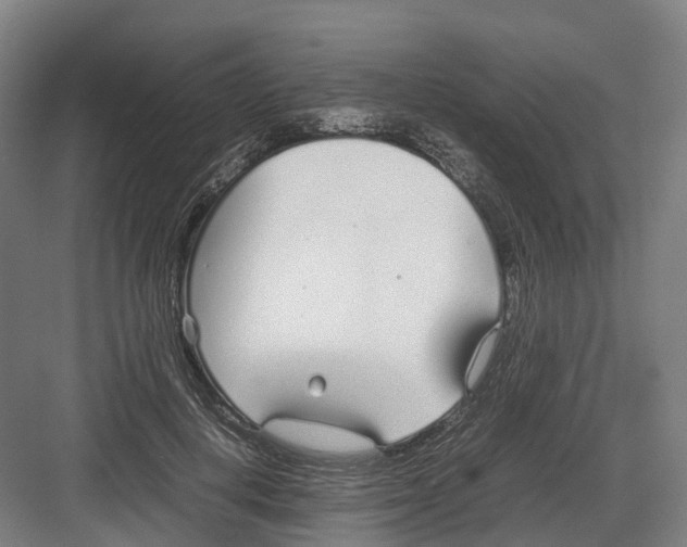 X0000082150648200702162210