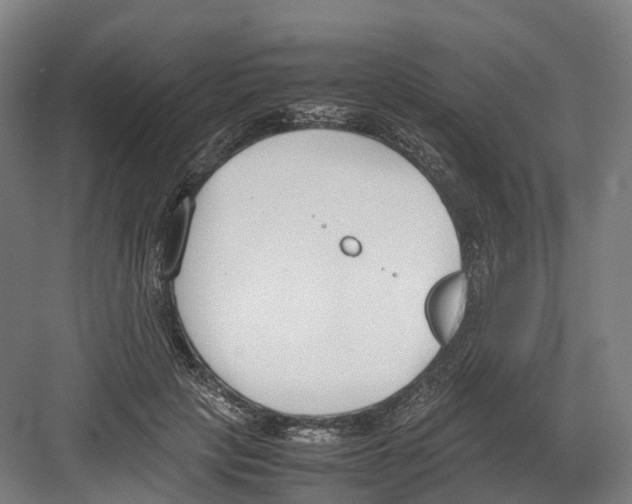 X0000082150649200702162210