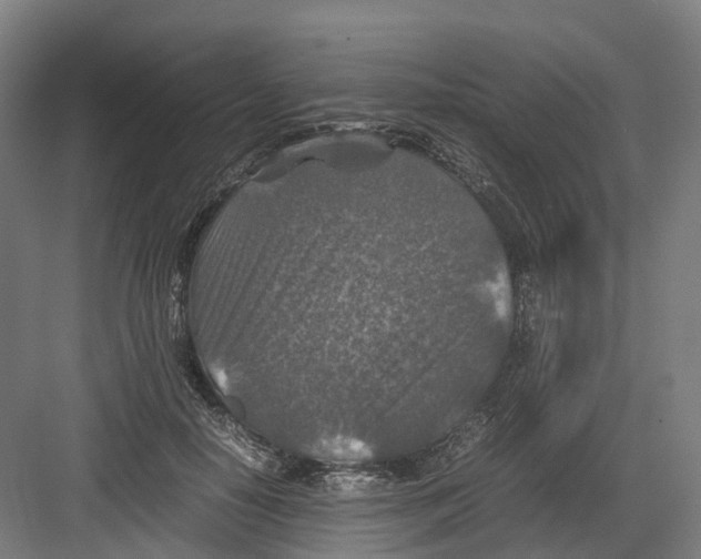 X0000082150650200702162210