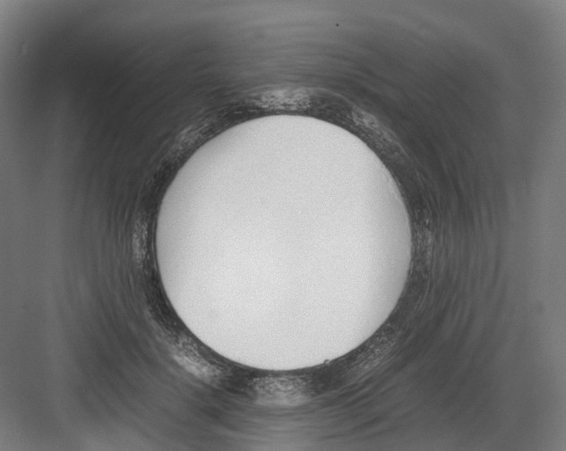 X0000082150652200702162210