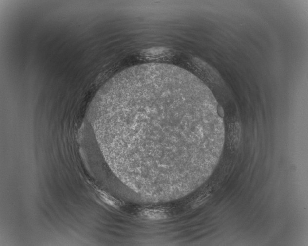 X0000082150653200702162210