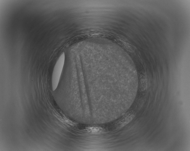 X0000082150654200702162210