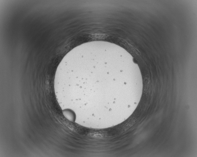 X0000082150655200702162210