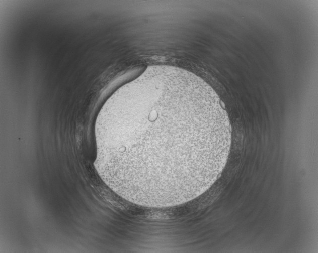 X0000082150656200702162210