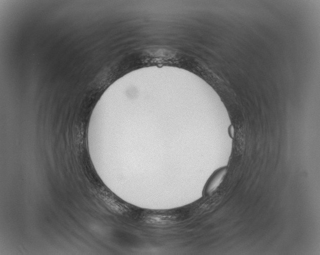 X0000082150657200702162210