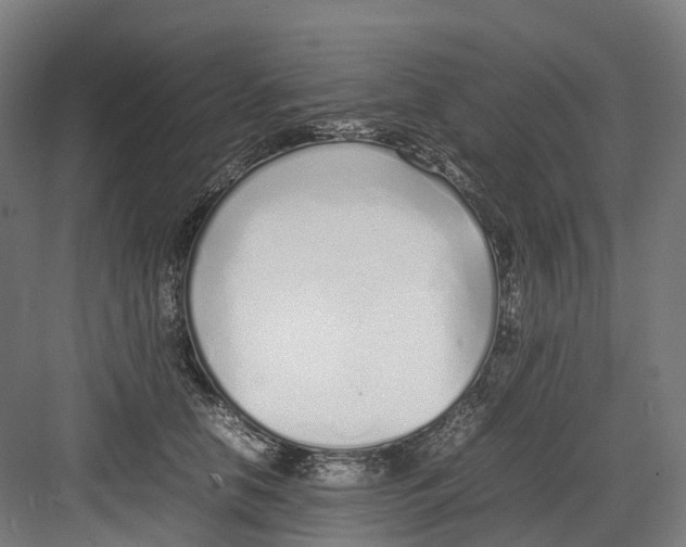 X0000082150658200702162210