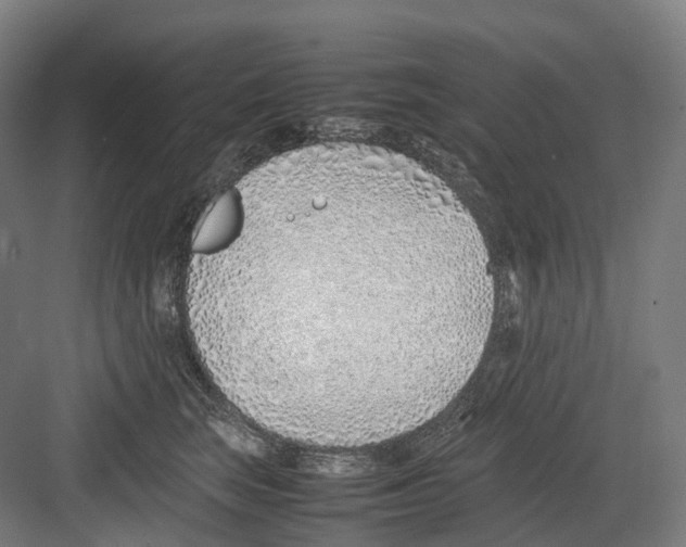 X0000082150663200702162210