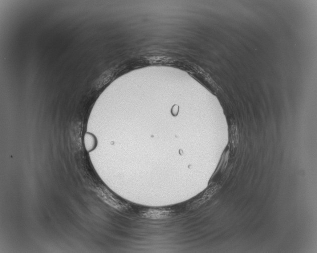 X0000082150664200702162210