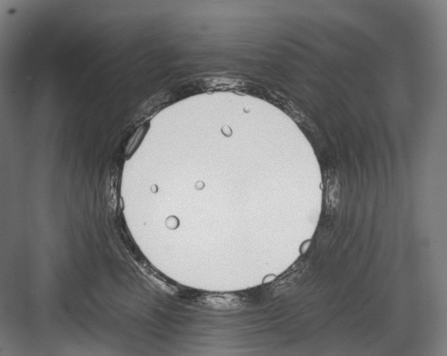 X0000082150666200702162210