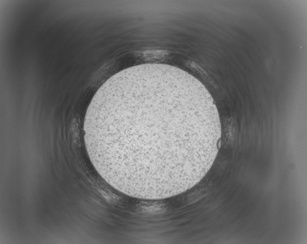 X0000082150667200702162210