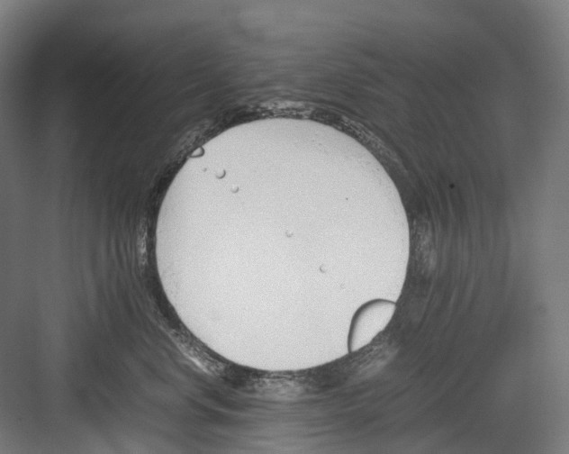 X0000082150668200702162210