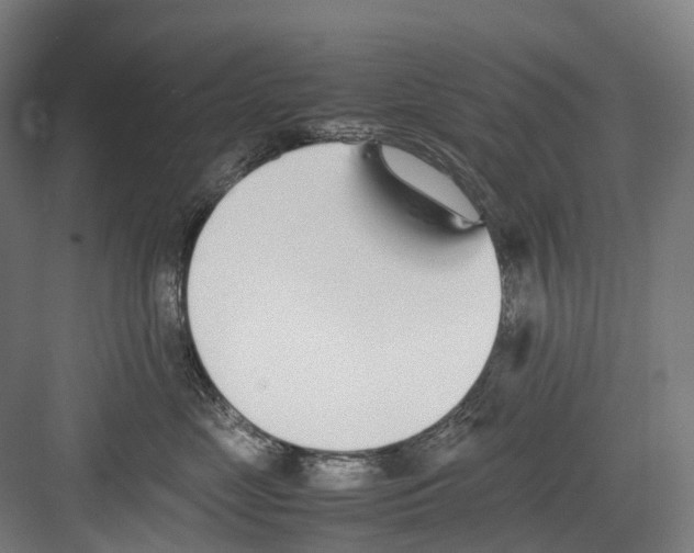 X0000082150669200702162210