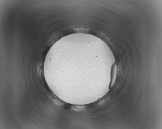 X0000082150671200702162210