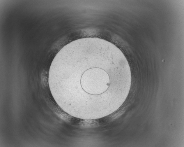 X0000082150672200702162210