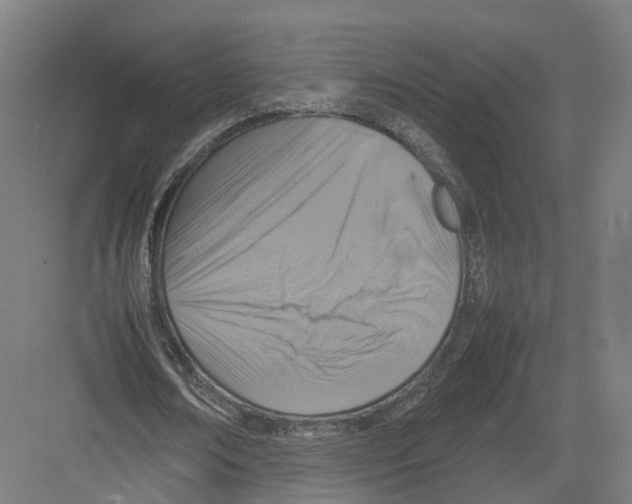 X0000082150674200702162209