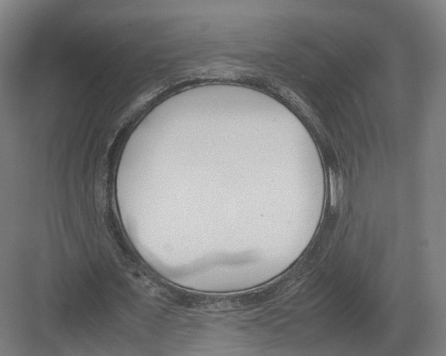 X0000082150675200702162209