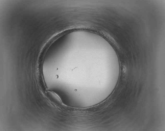 X0000082150676200702162209