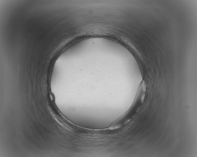 X0000082150677200702162209