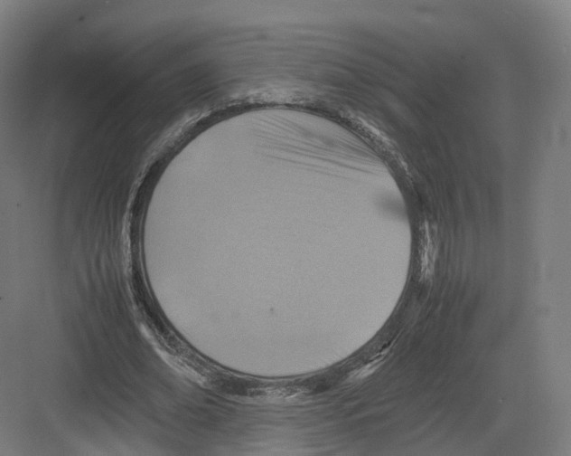 X0000082150678200702162209