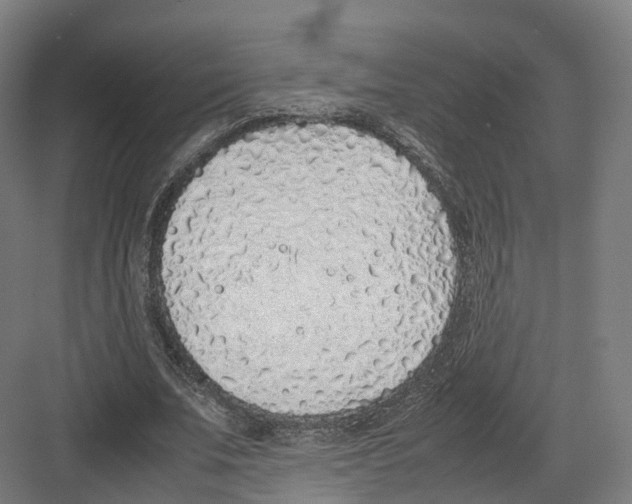 X0000082150679200702162209