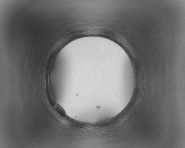 X0000082150681200702162209