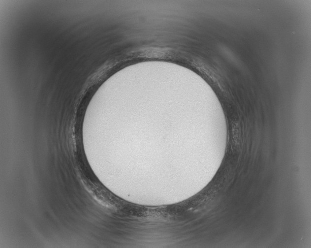 X0000082150682200702162209