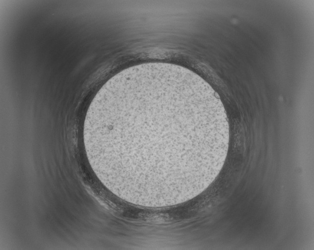 X0000082150683200702162209