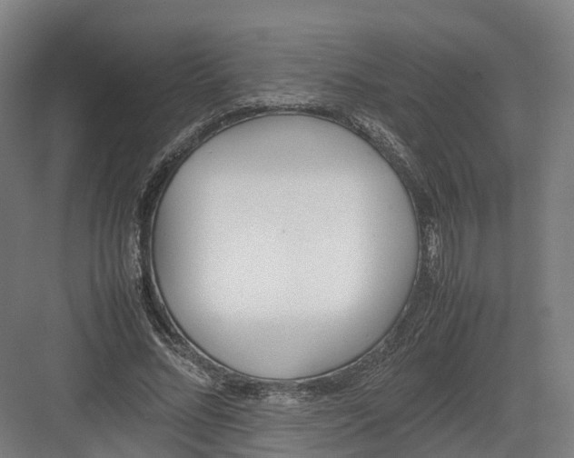 X0000082150684200702162209