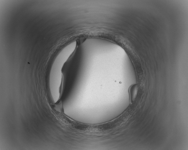 X0000082150685200702162209