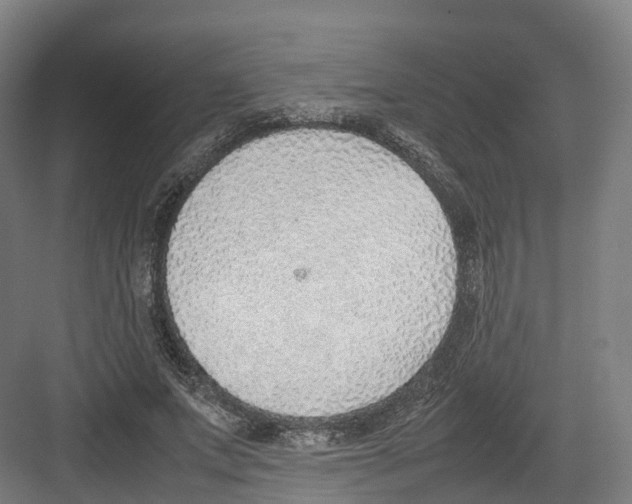 X0000082150687200702162209