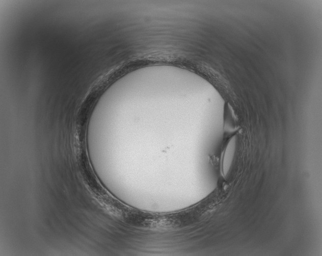 X0000082150688200702162209